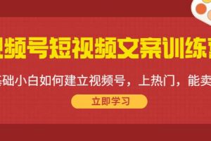 視頻號(hào)短視頻文案訓(xùn)練營(yíng)：0基礎(chǔ)小白如何建立視頻號(hào)，上熱門，能賣貨！
