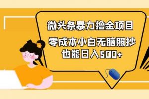 人人都能操作的微頭條最新暴力擼金項目，零成本小白無腦搬運