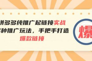 拼多多純推廣起鏈接實戰：多種推廣玩法，手把手打造爆款鏈接