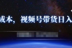 零基礎視頻號帶貨賺錢項目，0成本0門檻輕松日入300 【視頻教程】