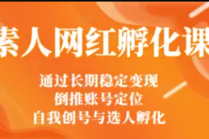 馬大個(gè)素人網(wǎng)紅孵化課：通過長期穩(wěn)定變現(xiàn)，倒推賬號定位，自我創(chuàng)號與選人孵化