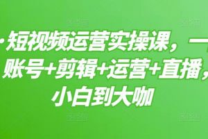 短視頻運(yùn)營(yíng)實(shí)操課，一部手機(jī)，賬號(hào) 剪輯 運(yùn)營(yíng) 直播，從小白到大咖