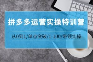 青云:拼多多運營實操特訓營：從0到1/單點突破/1-100/帶領實操 價值2980元