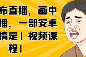無(wú)綠布直播，畫中畫直播，一部安卓手機(jī)搞定【視頻課程】
