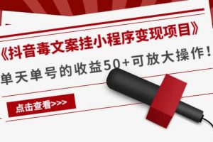 《抖音毒文案掛小程序變現項目》