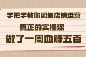 2022版《手把手教你閑魚店鋪運營》真正的實操課做了一周血賺五百(16節課)