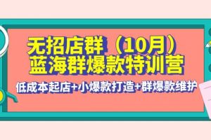 無招店群·藍海群爆款特訓營(10月新課) 低成本起店 小爆款打造 群爆款維護