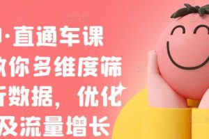 盜坤·直通車課程，教你多維度篩選分析數(shù)據(jù)，優(yōu)化店鋪及流量增長(zhǎng)