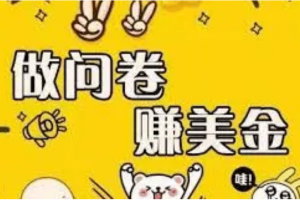 外邊收費(fèi)四五千的國外問卷調(diào)查項(xiàng)目，單人一天操作100美元，真正的搬磚項(xiàng)目