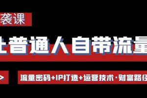 讓普通人自帶流量的逆襲課：流量密碼 IP打造 運營技術·財富路徑