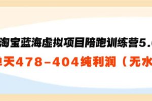 黃島主：淘寶藍海虛擬項目陪跑訓練營5.0：單天478純利潤（無水印）