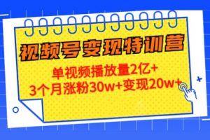 20天視頻號變現特訓營：單視頻播放量2億