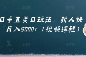 虛擬項目垂直類目玩法，新人快速起店，月入5000 【視頻課程】