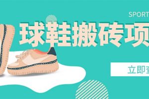 外面收費(fèi)998的球鞋搬磚項(xiàng)目【詳細(xì)教程 資源渠道】