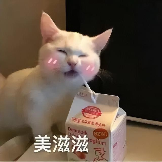 不正規的賺錢路子網上搞錢路子插圖2 不正規的賺錢路子網上搞錢路子插圖2