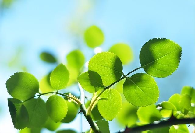 最聰明的存錢法12個月最聰明的存錢法是存折還是卡插圖3