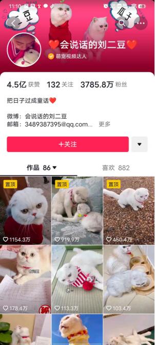 一個(gè)人適合做哪—領(lǐng)域短視頻做短視頻新手怎么入門插圖3 一個(gè)人適合做哪—領(lǐng)域短視頻做短視頻新手怎么入門插圖3