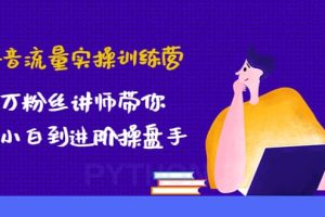 抖音流量實(shí)操訓(xùn)練營：百萬粉絲講師帶你從小白到進(jìn)階操盤手