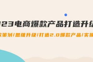 2023電商爆款產品打造升級課：爆款策劃/思維升級/打造2.0爆款產品/【推薦】