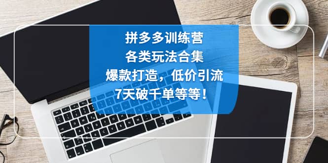 拼多多訓練營：各玩法合集，爆款打造，低價引流，7天破千單等等插圖