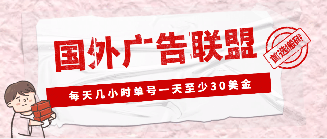 外面收費1980最新國外LEAD廣告聯盟搬磚項目，單號一天至少30美元(詳細教程)插圖