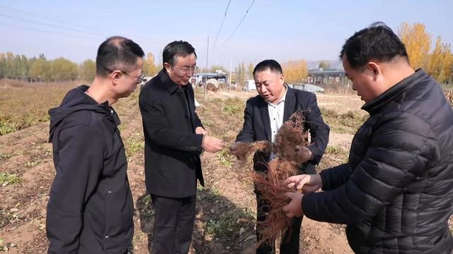 尋找藥廠合作種植藥材尋求藥材種植合作插圖