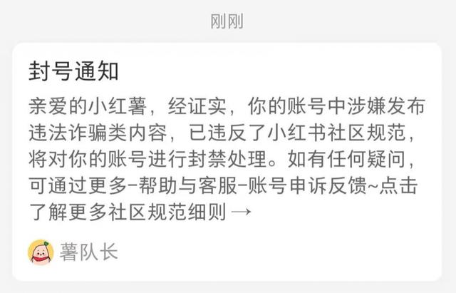 小紅書買500個粉絲引流推廣效果好的app插圖6 小紅書買500個粉絲引流推廣效果好的app插圖6