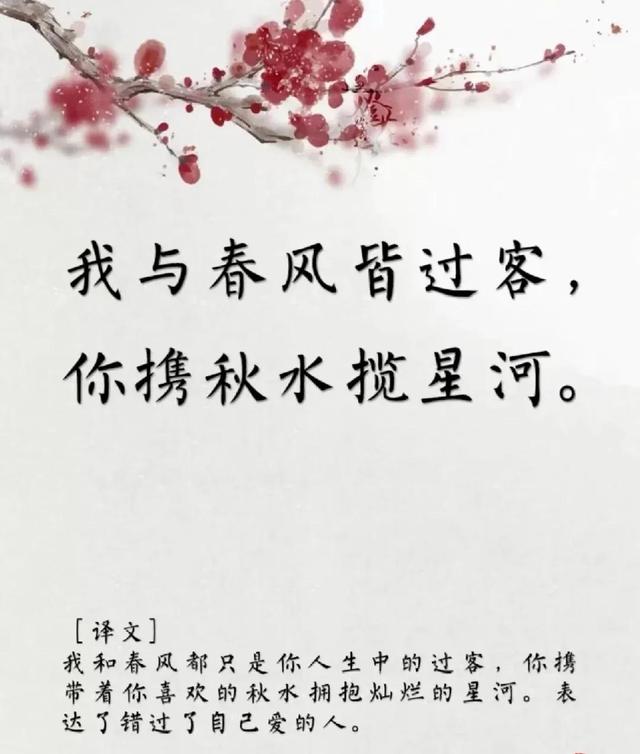 用古文暗示我等你白茶清歡無別事,我在等風也等你全詩插圖1 用古文暗示我等你白茶清歡無別事,我在等風也等你全詩插圖1