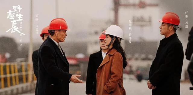蔣佳恩到底出了什么事蔣佳恩到底發生了什么事插圖1 蔣佳恩到底出了什么事蔣佳恩到底發生了什么事插圖1