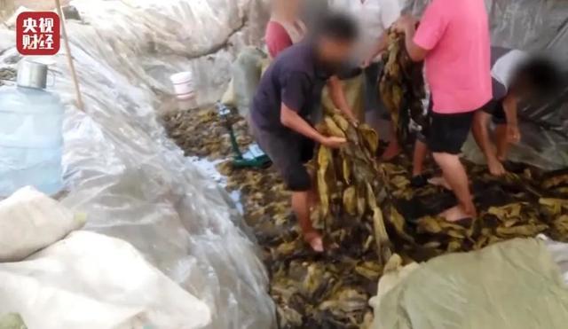 快消品是什么快消品是什么意思啊插圖 快消品是什么快消品是什么意思啊插圖