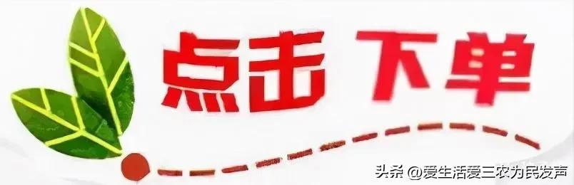 無本錢創業的十個行業現在無本熱門的賺錢行業插圖8