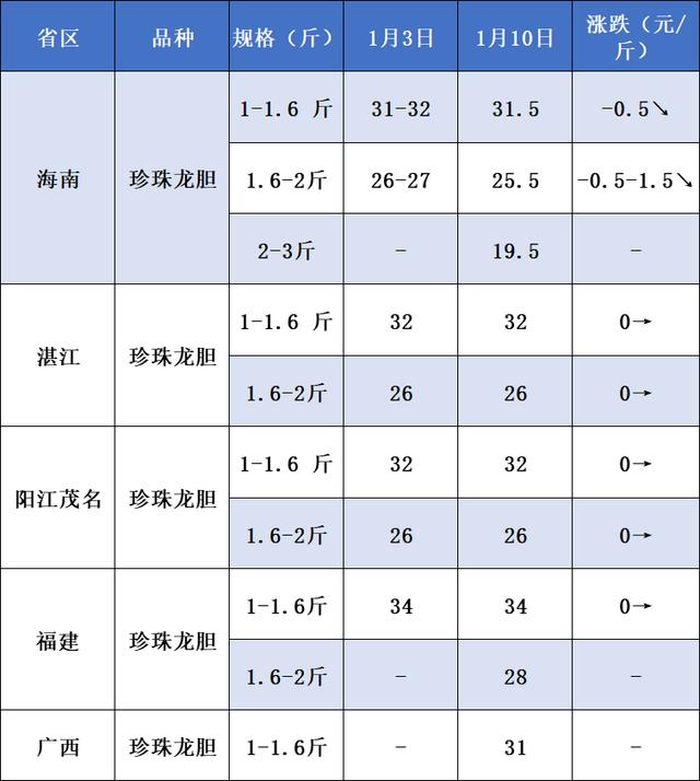 龍膽魚價格—斤多少錢龍膽魚的價格插圖 龍膽魚價格—斤多少錢龍膽魚的價格插圖