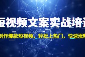 短視頻文案實(shí)戰(zhàn)培訓(xùn)：制作爆款短視頻，輕松上熱門，快速漲粉