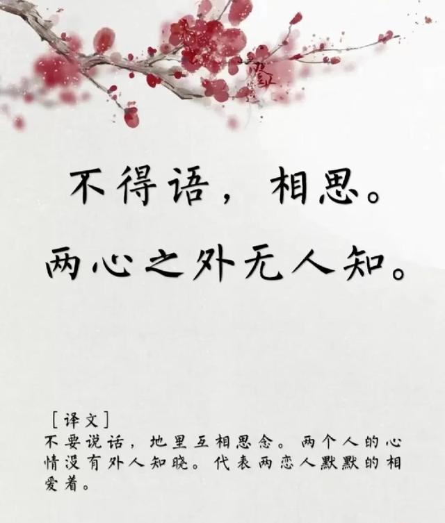 用古文暗示我等你白茶清歡無別事,我在等風也等你全詩插圖6 用古文暗示我等你白茶清歡無別事,我在等風也等你全詩插圖6