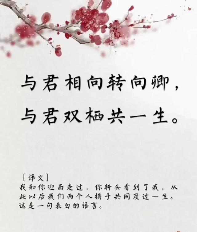 用古文暗示我等你白茶清歡無別事,我在等風也等你全詩插圖 用古文暗示我等你白茶清歡無別事,我在等風也等你全詩插圖