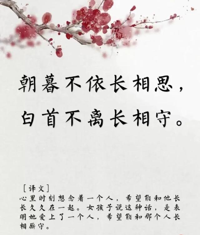 用古文暗示我等你白茶清歡無別事,我在等風也等你全詩插圖7 用古文暗示我等你白茶清歡無別事,我在等風也等你全詩插圖7