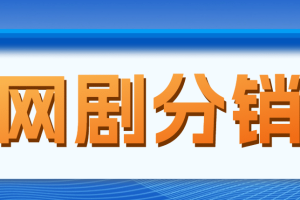 網(wǎng)劇分銷，新藍(lán)海項(xiàng)目，很輕松，現(xiàn)在入場是非常好的時機(jī)