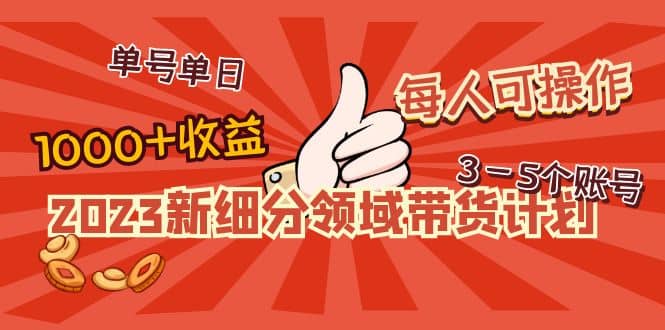 2023新細分領域帶貨計劃：單號單日1000 收益不難，每人可操作3-5個賬號插圖