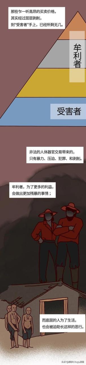 現在—個腎值多少錢插圖4 現在—個腎值多少錢插圖4