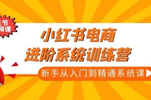 小紅書(shū)電商進(jìn)階系統(tǒng)訓(xùn)練營(yíng)：新手從入門(mén)到精通系統(tǒng)課（21節(jié)視頻課）