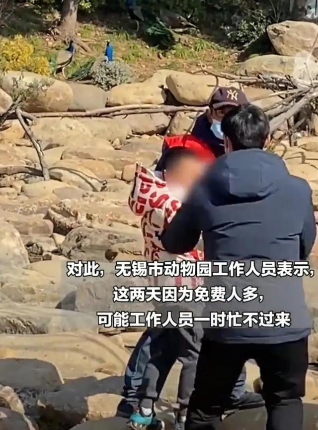 世界上最恐怖的孔雀世界上最恐怖的孔雀是什么插圖4 世界上最恐怖的孔雀世界上最恐怖的孔雀是什么插圖4