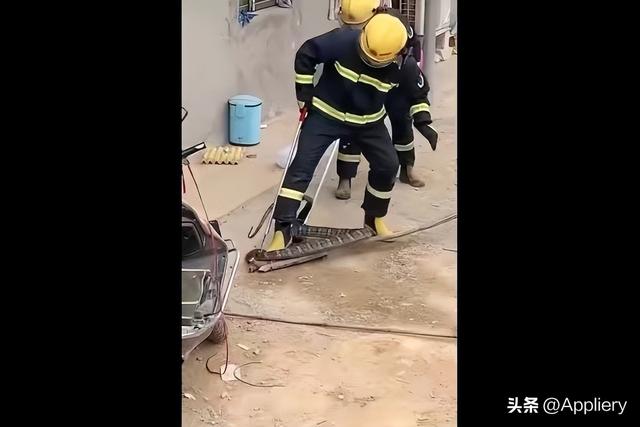 大蛇太難對(duì)付我堅(jiān)持不住了有兩條蛇住進(jìn)了我身體插圖3 大蛇太難對(duì)付我堅(jiān)持不住了有兩條蛇住進(jìn)了我身體插圖3