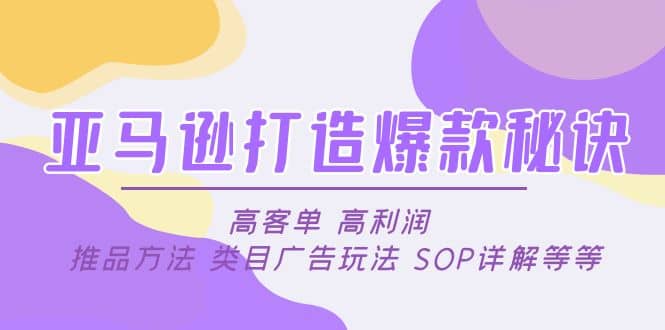 亞馬遜打造爆款秘訣：高客單 高利潤(rùn) 推品方法 類目廣告玩法 SOP詳解等等插圖