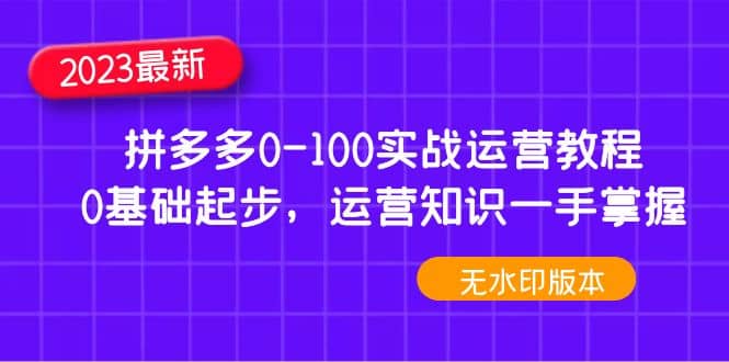 2023拼多多0-100實戰運營教程，0基礎起步，運營知識一手掌握（無水印）插圖