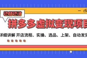 拼多多虛擬變現項目：講解開店流程-實操-選品-上架-自動發貨等(無水印)