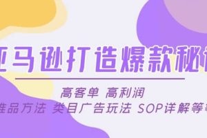亞馬遜打造爆款秘訣：高客單 高利潤(rùn) 推品方法 類目廣告玩法 SOP詳解等等