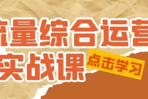流量綜合·運營實戰課：短視頻、本地生活、個人IP知識付費、直播帶貨運營