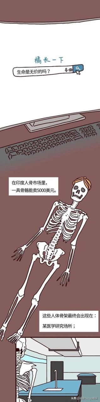 現在—個腎值多少錢插圖 現在—個腎值多少錢插圖