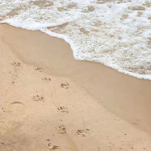 微信紅包24小時沒領為什么沒退回微信紅包24小時沒領為什么沒退回現實已過期插圖2