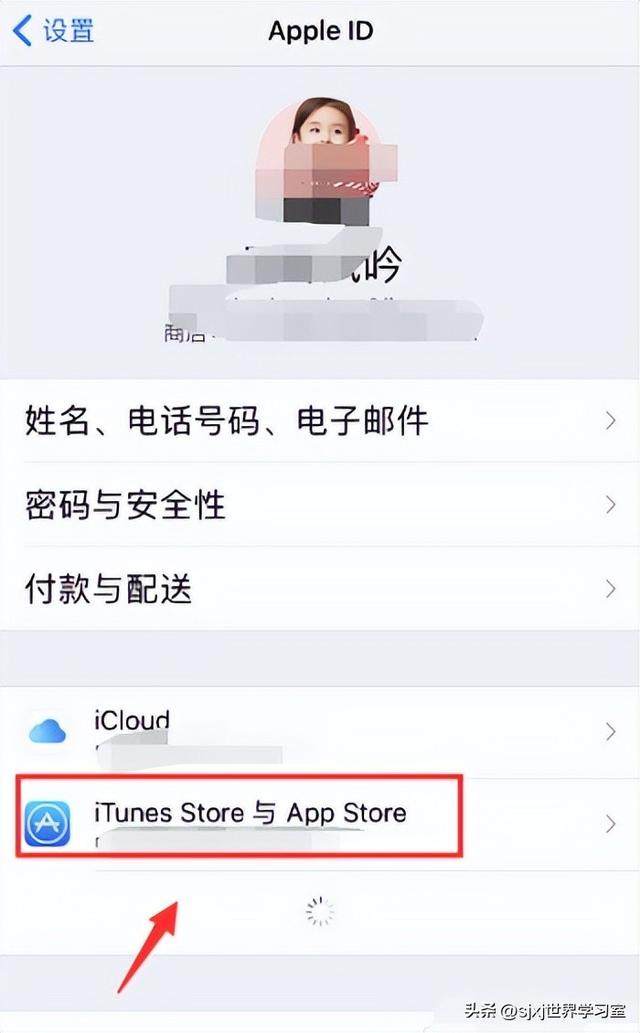 蘋果id不用了怎么永久注銷蘋果官網插圖1 蘋果id不用了怎么永久注銷蘋果官網插圖1